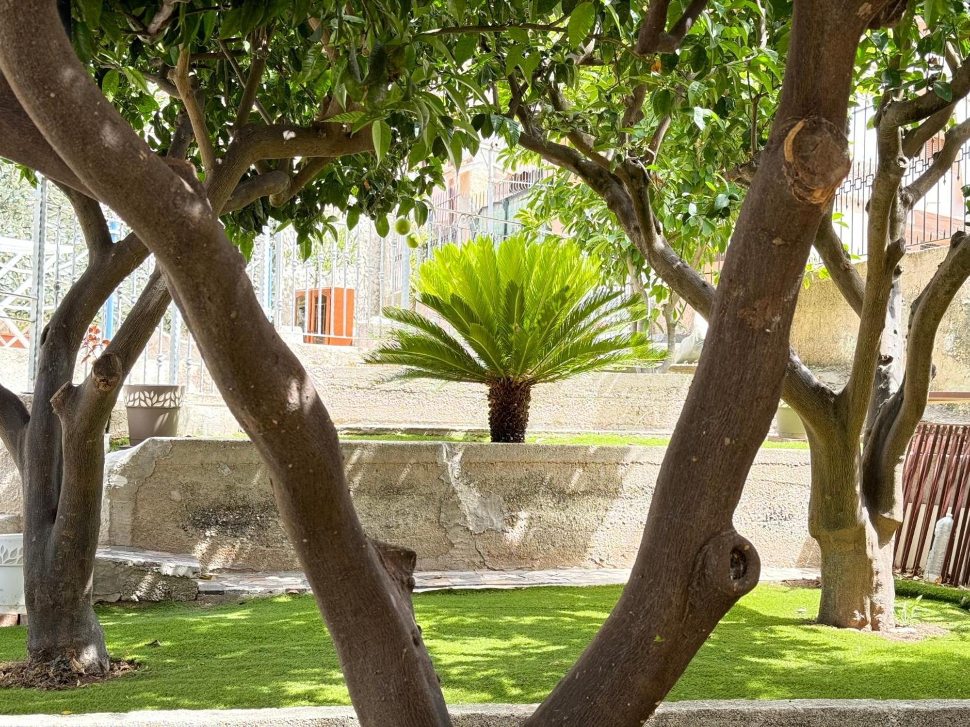 Tropea Solemare Daire Dış mekan fotoğraf
